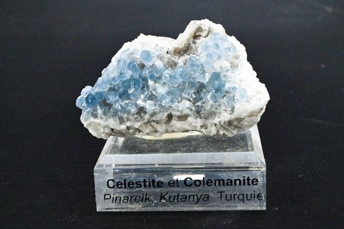 Celestine auf - celestine,
